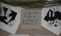 /album/ekokodex-zelenej-skoly/p1010080-large-jpg4/